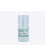 ProGro ™ Hybri GF Culture Supplement jetlifescience HYB010010