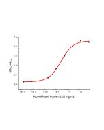 Recombinant Human IL-12(Cat. No.:GMP-CI58) novoprotein