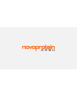 BsaI, GMP Grade(Cat. No.:GMP-RE026) novoprotein
