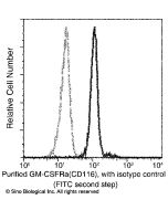 Recombinant Anti-GM-CSF Receptor alpha Antibody, Rabbit Monoclonal sinobiological 10701-R009