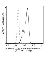 Anti-CD3 zeta/CD247 Antibody, Mouse Monoclonal sinobiological 13142-MM06