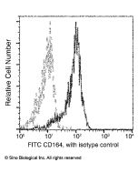 Recombinant Anti-CD164 Antibody (FITC), Rabbit Monoclonal sinobiological 12260-R006-F