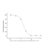 SARS-CoV/SARS-CoV-2 Spike antibody,Chimeric MAb sinobiological 40150-D001