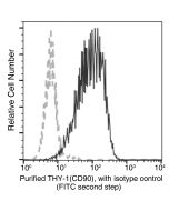 Anti-Thy1/CD90 Antibody, Mouse Monoclonal sinobiological 16897-MM10