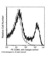 Recombinant Anti-CD8 alpha Antibody (PE), Rabbit Monoclonal sinobiological 60001-R082-P