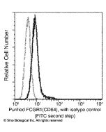Recombinant Anti-CD64/FCGR1 Antibody, Rabbit Monoclonal sinobiological 50086-R027