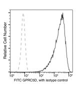 Anti-GPRC5D Antibody (FITC), Mouse Monoclonal sinobiological 24447-MM12-F