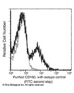 Anti-CD160 Antibody, Mouse Monoclonal sinobiological 12191-MM09