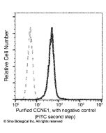Anti-Cyclin E Antibody, Mouse Monoclonal sinobiological 10902-MM03T