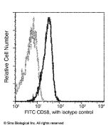 Anti-CD58/LFA-3 Antibody (FITC), Mouse Monoclonal sinobiological 12409-MM05-F
