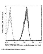 Recombinant Anti-VEGFR2/KDR Antibody (PE), Rabbit Monoclonal sinobiological 10012-R001-P