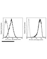Anti-carbonic anhydrase XII/CA12 Antibody (PE), Mouse Monoclonal sinobiological 10617-MM07-P