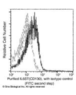 Recombinant Anti-gp130/IL6ST Antibody, Rabbit Monoclonal sinobiological 50135-R022