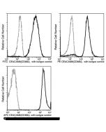 Anti-CEACAM-8/CD66b Antibody (FITC), Mouse Monoclonal sinobiological 11729-MM04-F