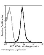 Recombinant Anti-CD48 Antibody (APC), Rabbit Monoclonal sinobiological 50415-R341-A