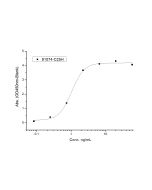 Recombinant Cynomolgus Claudin-6 Protein (VLP, Full-length, Flag Tag) sinobiological 91074-C25H