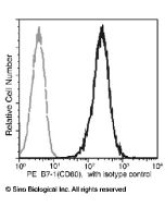 Anti-B7-1/CD80 Antibody (PE), Mouse Monoclonal sinobiological 10698-MM01-P