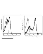 Recombinant Anti-IL-7R alpha/CD127 Antibody (PE), Rabbit Monoclonal sinobiological 10975-R001-P