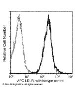 Recombinant Anti-LDLR/LDL Receptor Antibody (APC), Rabbit Monoclonal sinobiological 10231-R301-A