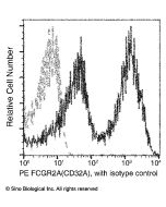 Anti-CD32A/FCGR2A Antibody (PE), Mouse Monoclonal sinobiological 90016-MM04-P