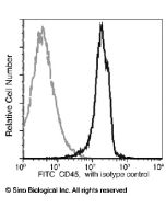 Anti-CD45 Antibody (FITC), Mouse Monoclonal sinobiological 10086-MM05-F