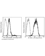 Anti-Jagged 1/JAG1 Antibody (PE), Mouse Monoclonal sinobiological 11648-MM03-P