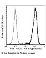 Recombinant Anti-15-PGDH Antibody (FITC), Rabbit Monoclonal sinobiological 11205-R016-F