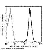 Recombinant Anti-EphB4 Antibody (APC), Rabbit Monoclonal sinobiological 10235-R001-A