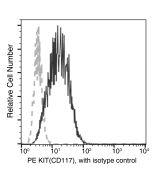 Anti-c-Kit Antibody (PE), Mouse Monoclonal sinobiological 11996-MM34-P