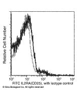 Recombinant Anti-CD25/IL-2R alpha Antibody (FITC), Rabbit Monoclonal sinobiological 50292-R049-F