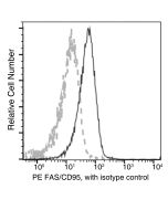 Recombinant Anti-Fas/CD95/TNFRSF6 Antibody (PE), Rabbit Monoclonal sinobiological 50027-R004-P