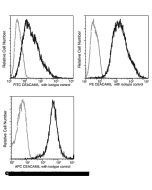 Recombinant Anti-CEACAM-5/CD66e Antibody (FITC), Rabbit Monoclonal sinobiological 11077-R061-F
