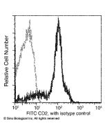Anti-CD2 Antibody (FITC), Mouse Monoclonal sinobiological 10982-M127-F