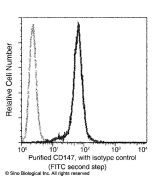 Anti-CD147/Basigin/EMMPRIN Antibody, Mouse Monoclonal sinobiological 10186-MM08