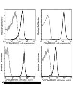 Recombinant Anti-CD229/Ly9/SLAMF3 Antibody (PerCP), Rabbit Monoclonal sinobiological 50504-R002-C
