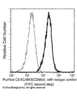 Anti-CEACAM-3/CD66d Antibody, Mouse Monoclonal sinobiological 11933-MM06