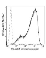 Anti-ACE2 Antibody (PE), Mouse Monoclonal sinobiological 10108-MM36-P