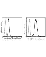 Recombinant Anti-Caspase-14 Antibody (PE), Rabbit Monoclonal sinobiological 11856-R006-P