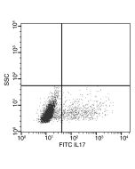 Recombinant Anti-IL-17A Antibody (FITC), Rabbit Monoclonal sinobiological 51065-R208-F