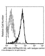 Recombinant Anti-GM-CSF Receptor alpha Antibody (APC), Rabbit Monoclonal sinobiological 10701-R009-A