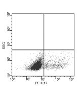 Recombinant Anti-IL-17A Antibody (PE), Rabbit Monoclonal sinobiological 51065-R217-P