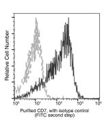 Anti-CD7 Antibody, Mouse Monoclonal sinobiological 11028-MM20