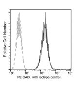 Recombinant Anti-Carbonic Anhydrase IX/CA9 Antibody (PE), Rabbit Monoclonal sinobiological 10107-R053-P