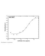 EGF / Epidermal Growth Factor Neutralizing Antibody sinobiological 10605-R001