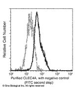 Anti-DICR/CLEC4A Antibody, Mouse Monoclonal sinobiological 11476-MM08