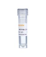 dNTP Mix (25 mM each) -10125ES yeasen