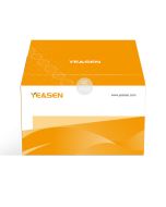 TRIeasy™ Total RNA Extraction Reagent _ 10606ES yeasen