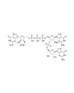 LZCap GG (3'Acm), (50mM) _ 10686ES yeasen