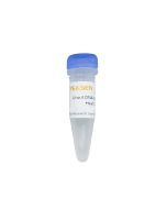 Uracil DNA Glycosylase (UDG), Heat-Labile (Glycerol-Free)  (1 U/μL) -10707ES yeasen