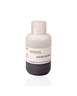 Hieff NGS™ RNA Cleaner -12602ES yeasen
